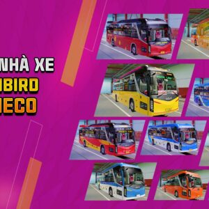 MOD ETS2 - Bộ Skin Xe Khách Miền Tây - KIA Granbird Tracomeco